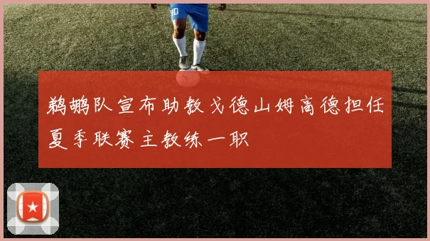 鹈鹕队宣布助教戈德山姆高德担任夏季联赛主教练一职