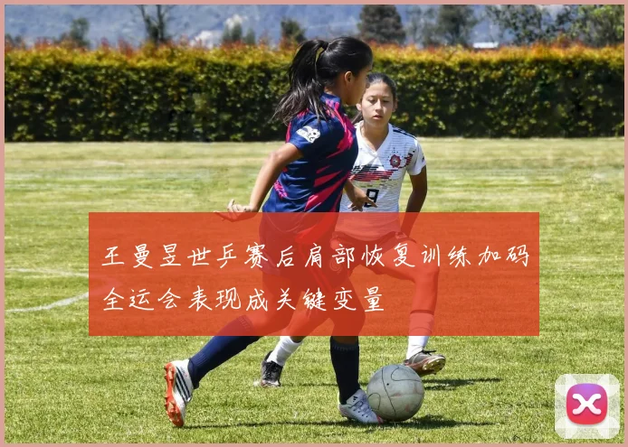 王曼昱世乒赛后肩部恢复训练加码全运会表现成关键变量
